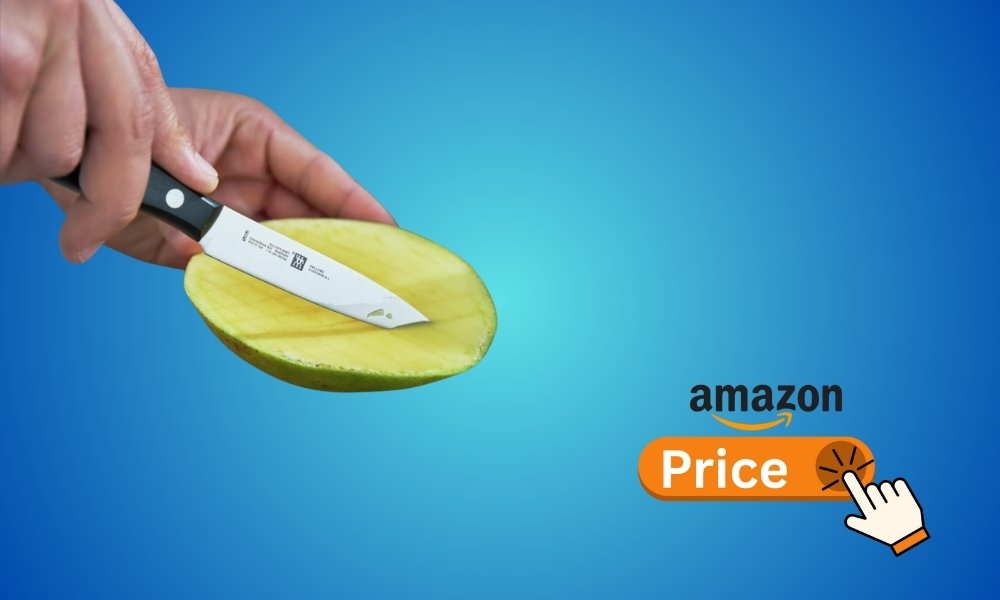 zwilling knife review