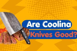 Are Coolina Knives Good