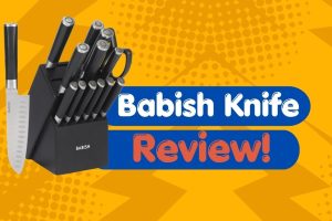 Babishi knife review